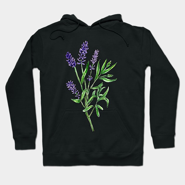 Real lavender, Lavandula angustifolia Hoodie by voidea